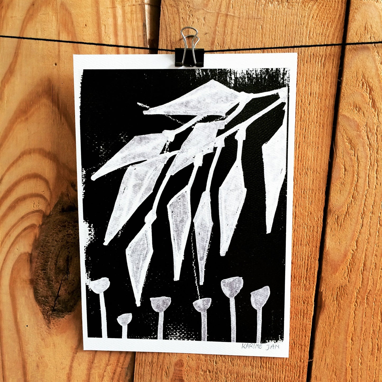 Eucalyptus leaves