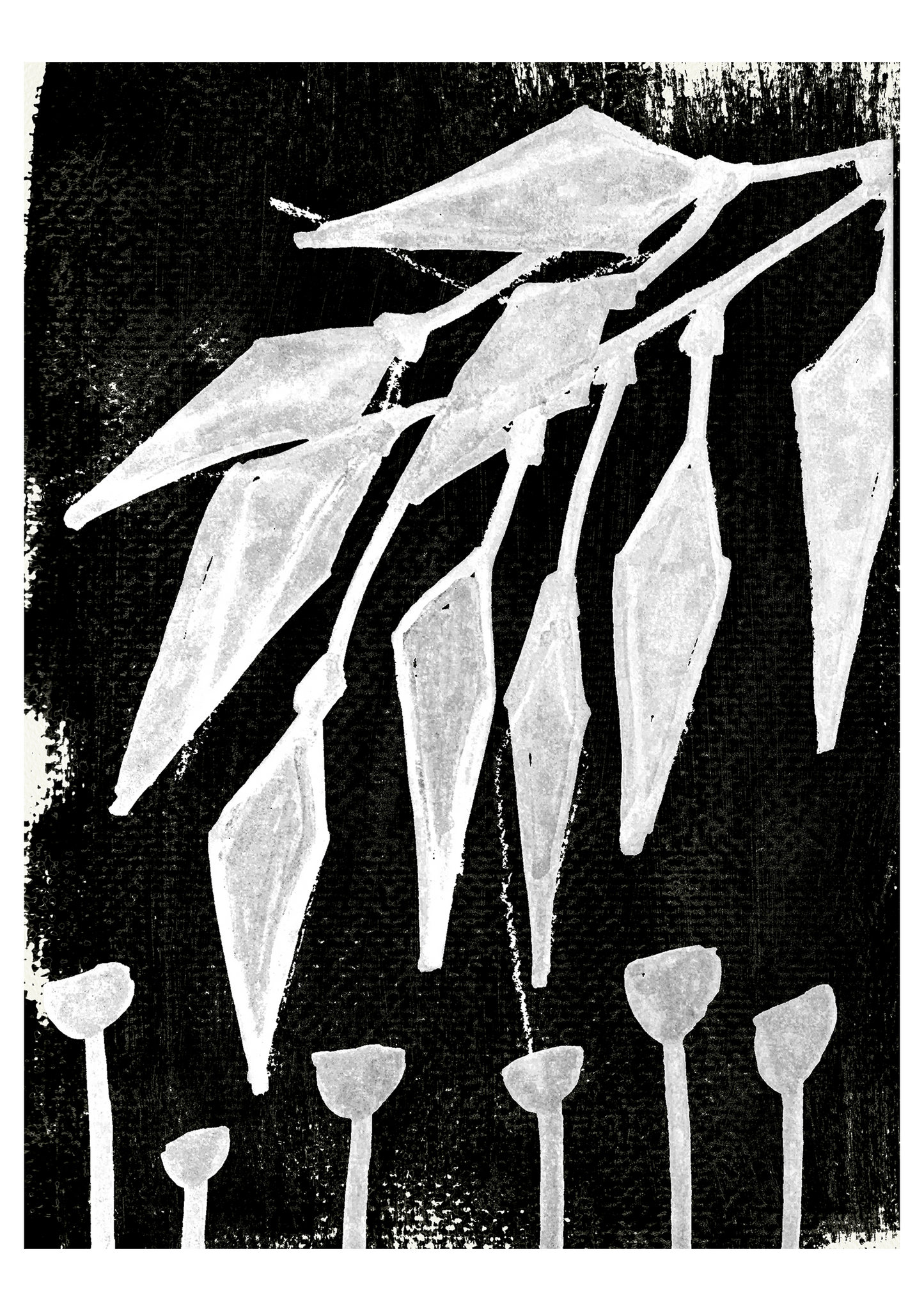 Eucalyptus leaves