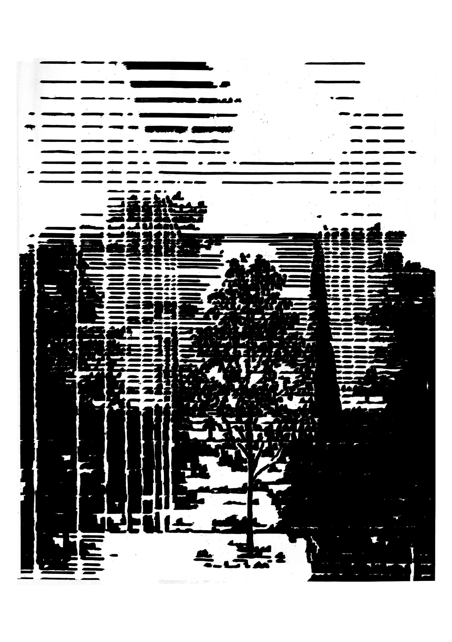 Barcode tree
