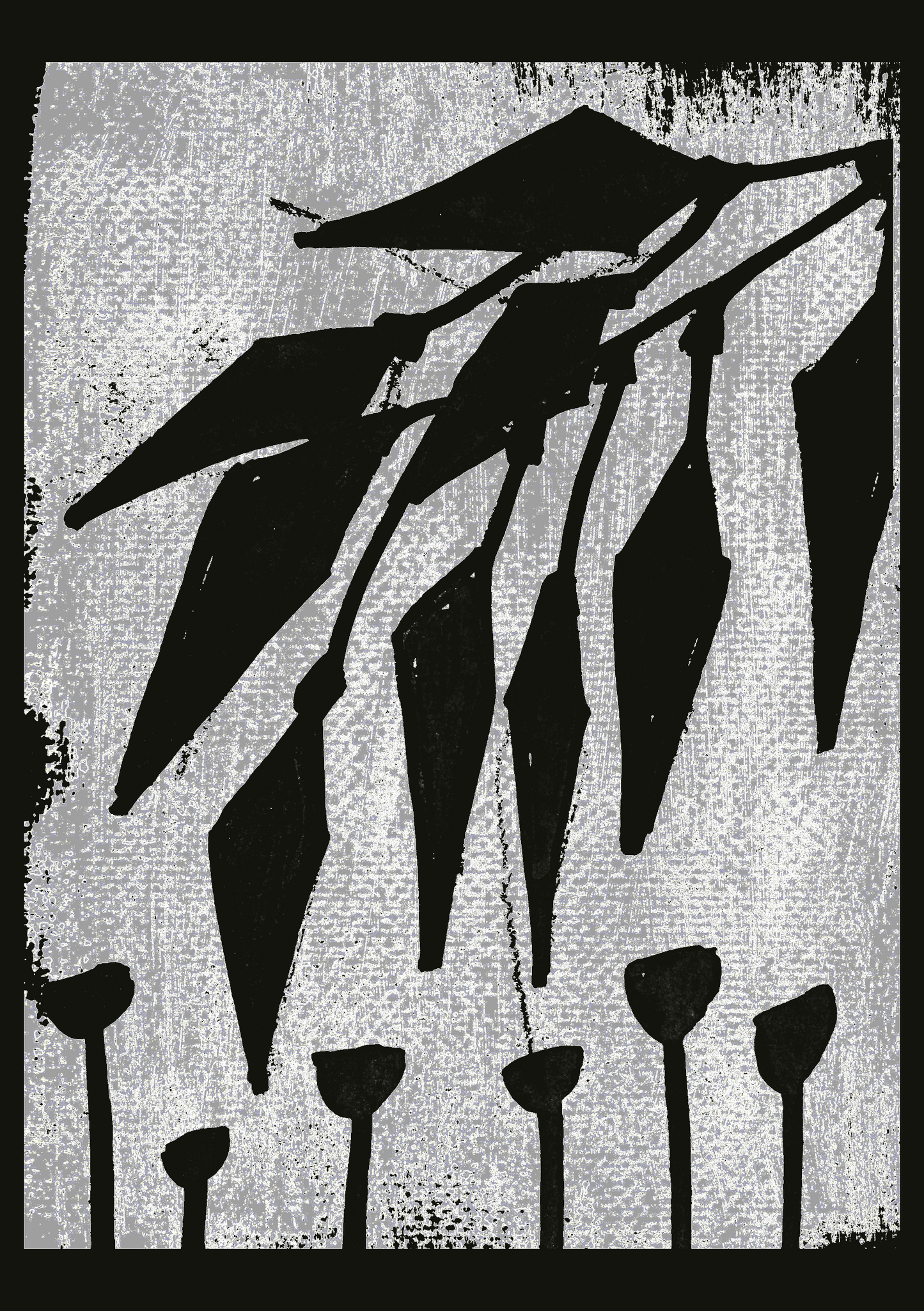 Eucalyptus leaves white