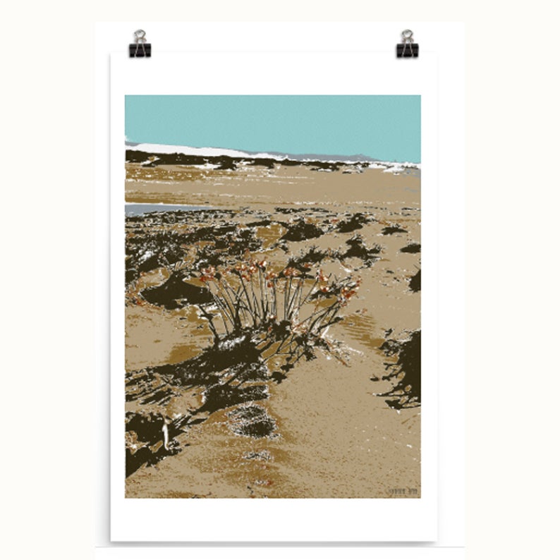 Dunes